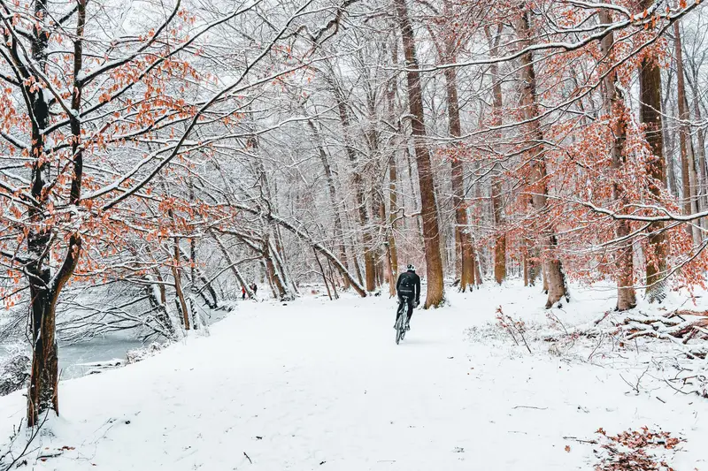What actually survives a bad winter
