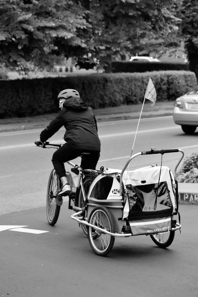 Dog Bike Basket Weight Limit (Or When You Need A Trailer)