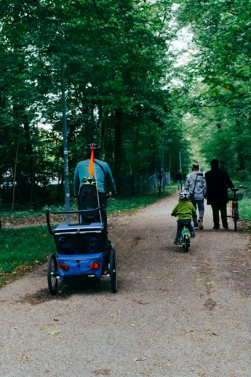 Electric Bike Dog Trailer: What It Actually Buys You