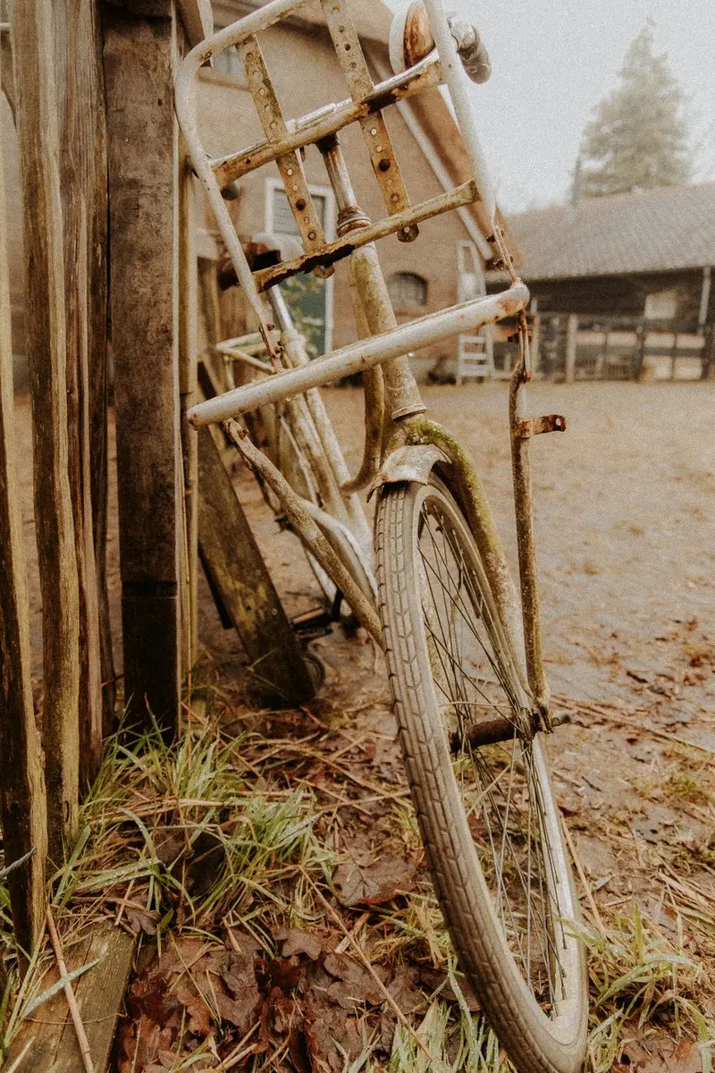 The cheap bike that costs more