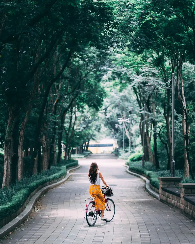 Cyclist riding a bicycle along a tree-lined path