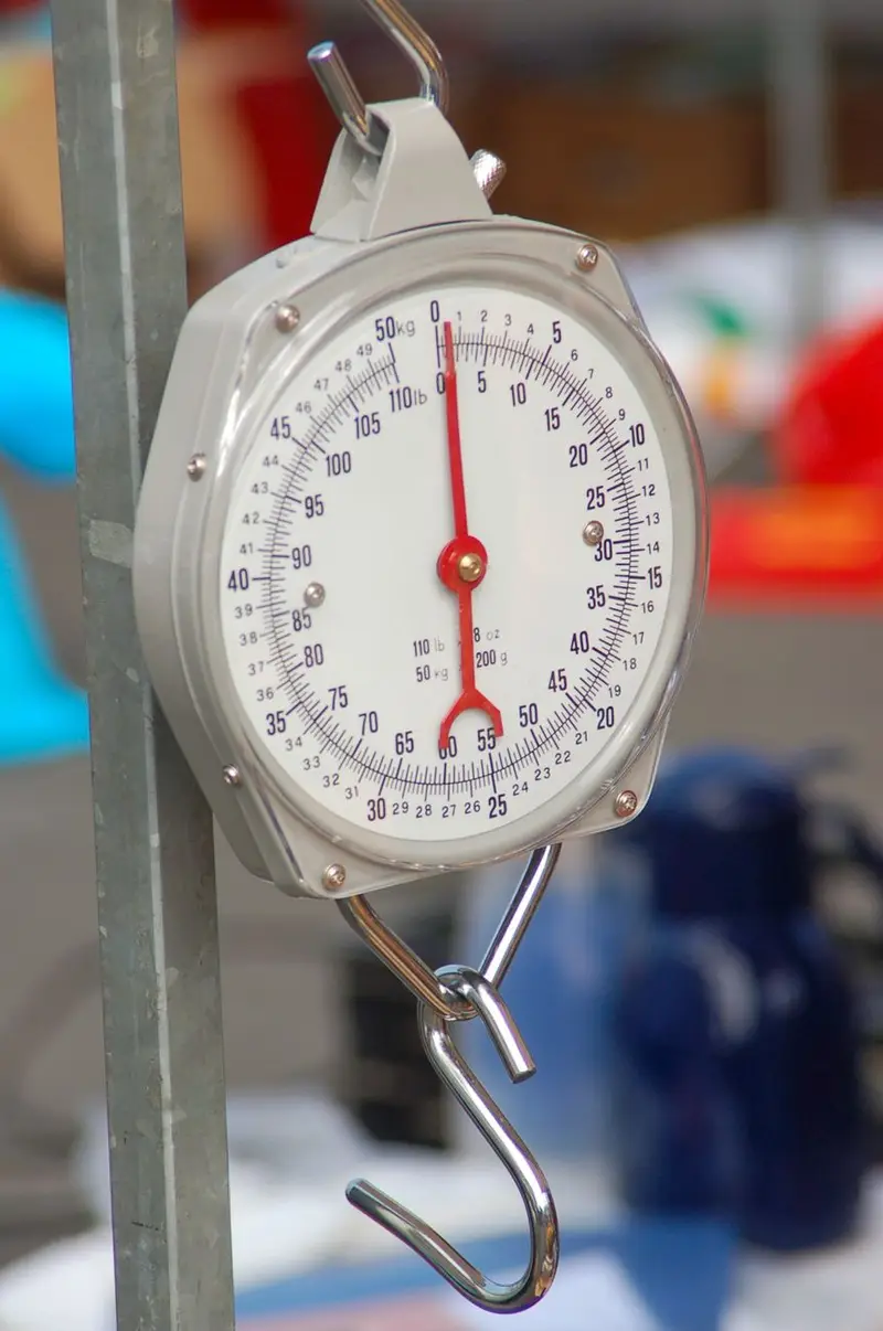 What 'lightweight' actually means, in kilos