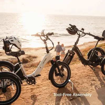 Lectric XP Trike2 750 — shot