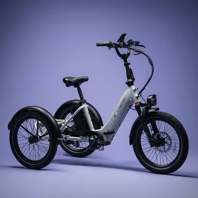 Lectric XP Trike2 — shot