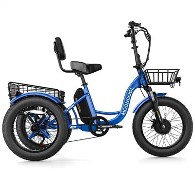 Mooncool TK1 Fat Tire — shot