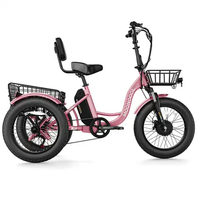 Mooncool TK1 Fat Tire — shot