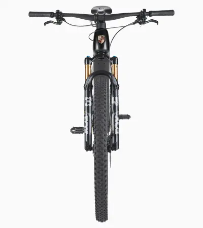 Porsche eBike Cross Performance EXC — detail