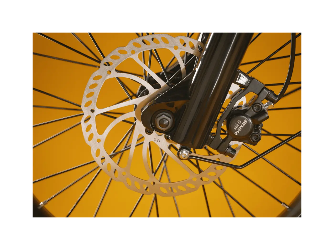 Rad Power RadRunner Plus — shot