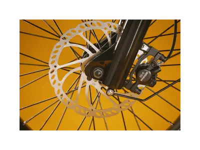 Rad Power RadRunner Plus — shot