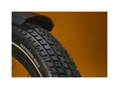 Rad Power RadRunner Plus — shot
