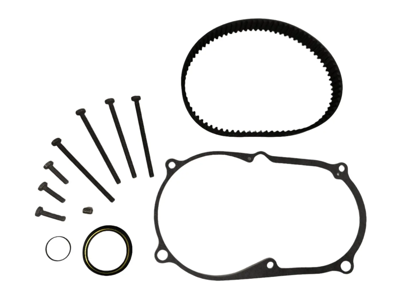 Harley Serial 1 Brose Motor Belt Replacement Kit — hero