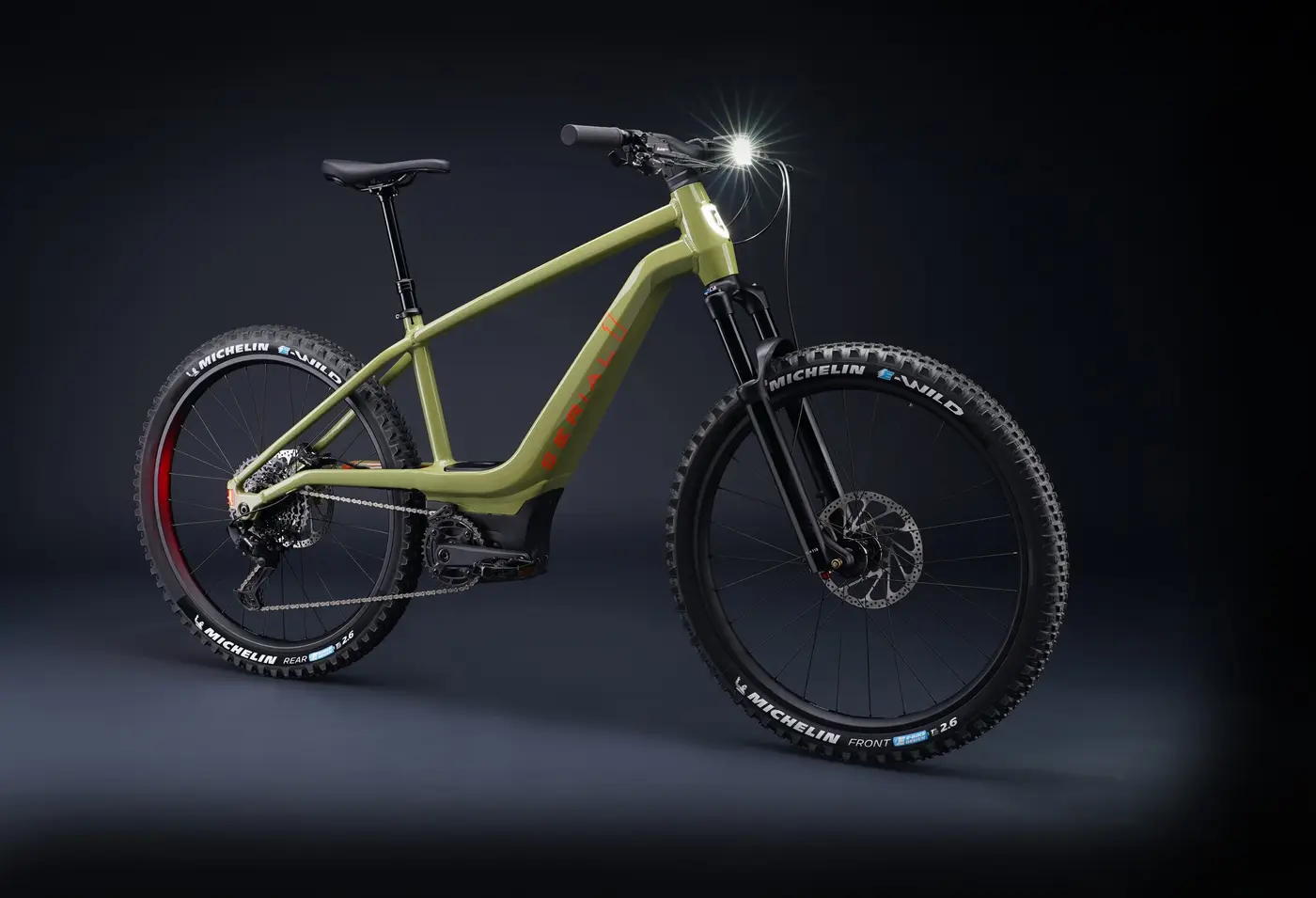 Harley Serial 1 Switch/MTN — shot
