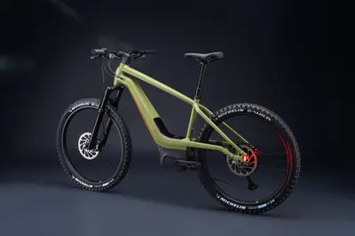 Harley Serial 1 Switch/MTN — shot