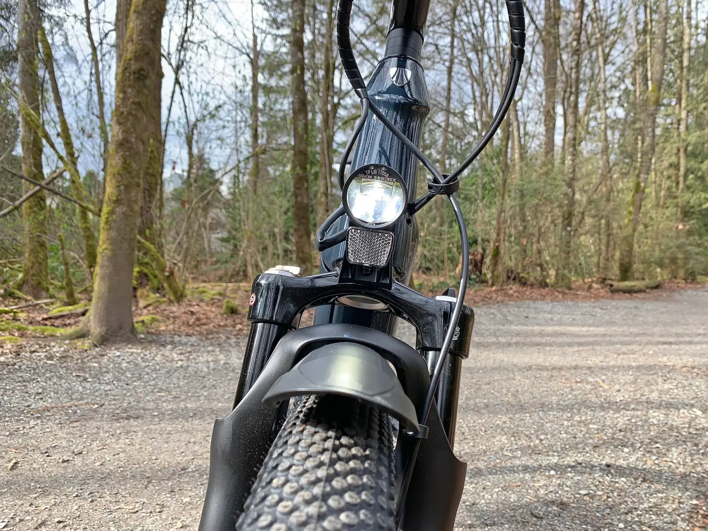 Trek Allant+ 7 — shot