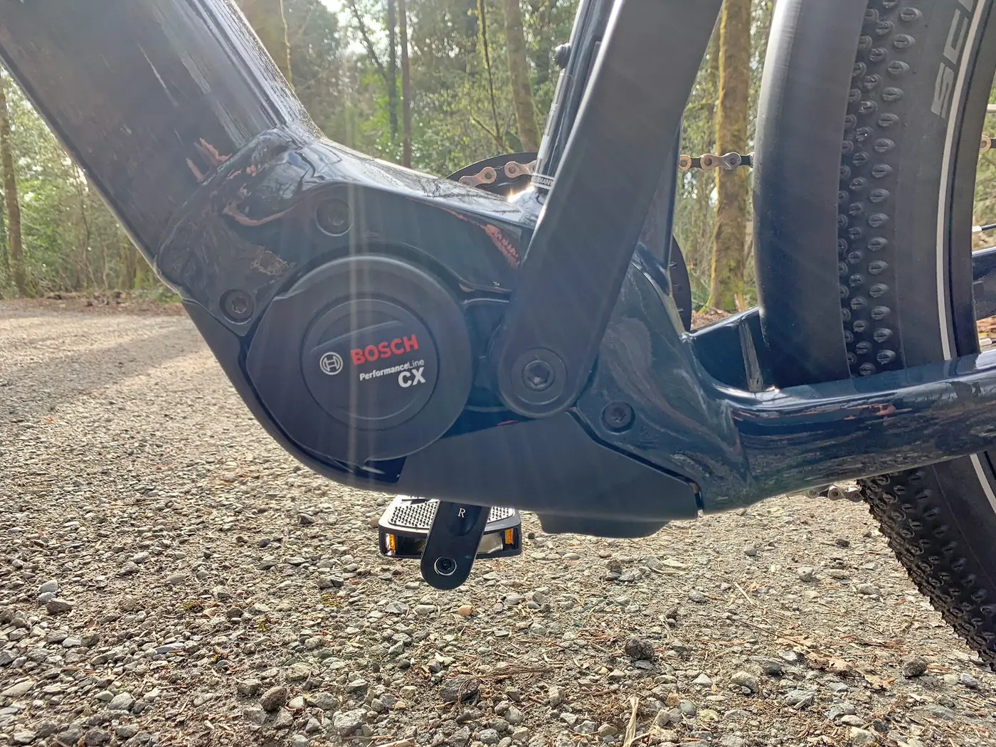 Trek Allant+ 7 — shot
