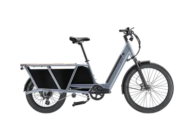 Velotric Packer 1 — shot