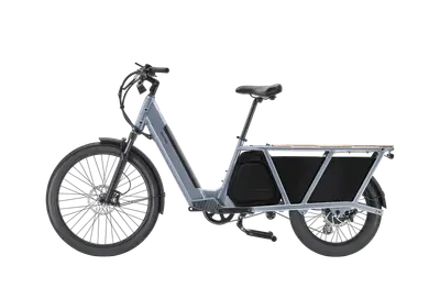 Velotric Packer 1 — shot